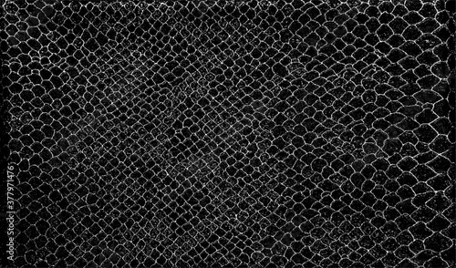 Snakeskin pattern imitation. Lines and spots structural texture. Cool and artsy faux leather background. Abstract vector illustration. Black isolated on white. EPS10