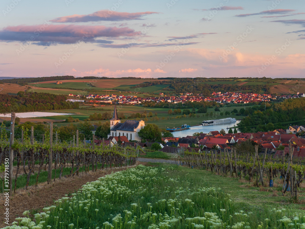 Fototapeta premium Landschaft und Weinberge bei Wipfeld, Landkreis Schweinfurt, Unterfranken, Franken, Bayern, Deutschland