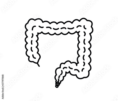 Small intestine, organ icon set
