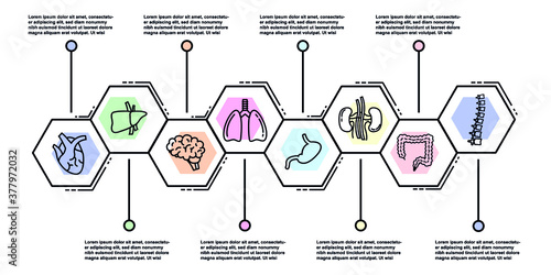 Vector icon set of human internal organs in flat style