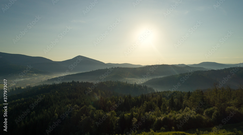 mountains landscape with sun and alpine pines. Sunrise