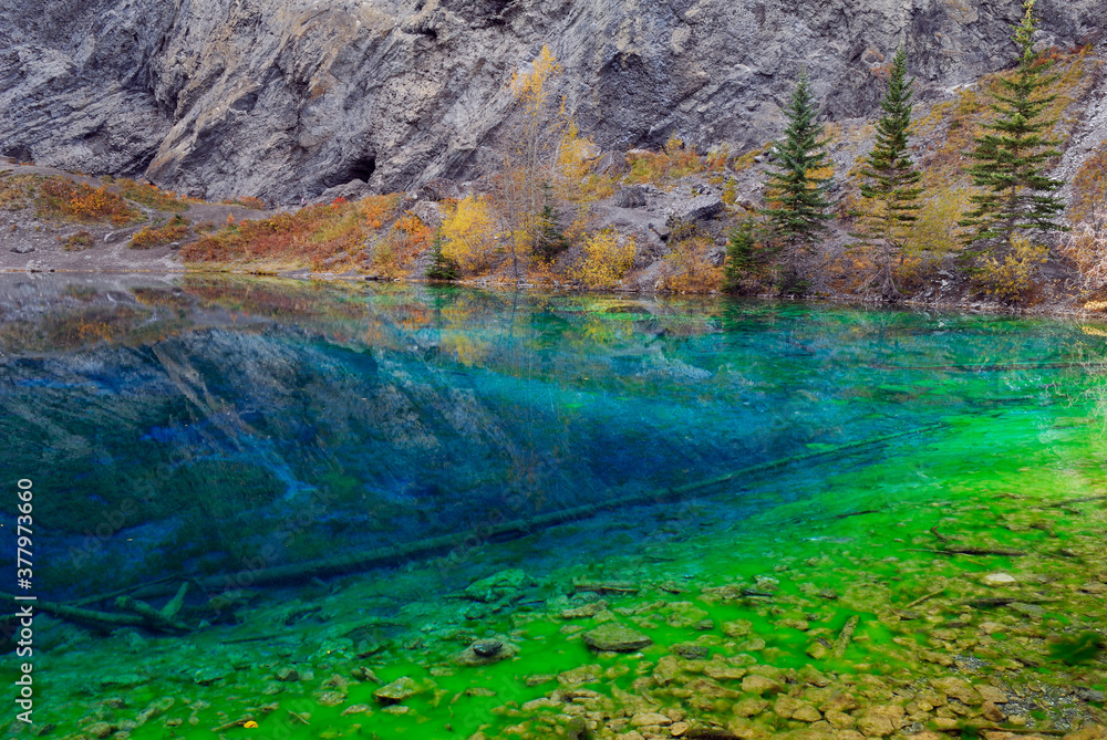 Blue and Green algae in the clear water of Grassi Lakes Canmore