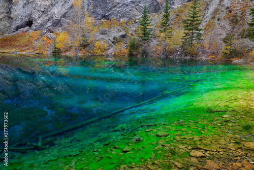 Indigo and bright green algae in the clear water of Grassi Lakes Canmore © Reimar