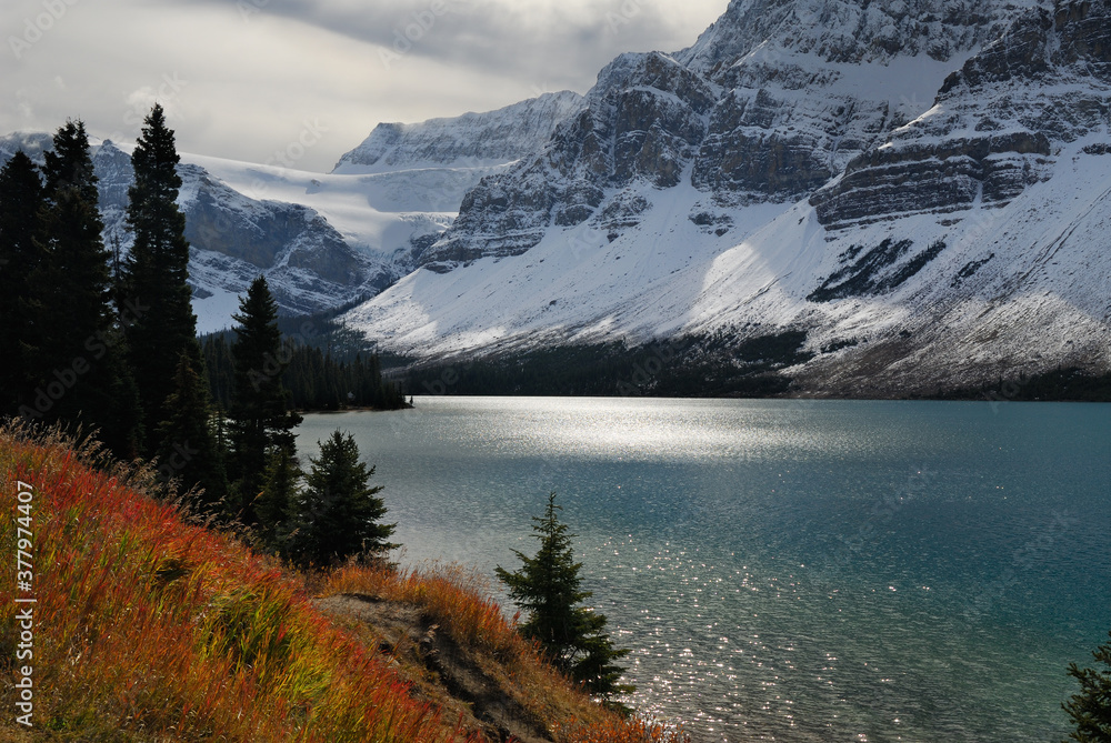 Naklejka premium Autumn grass and Crowfoot mountain glacier at Bow Lake