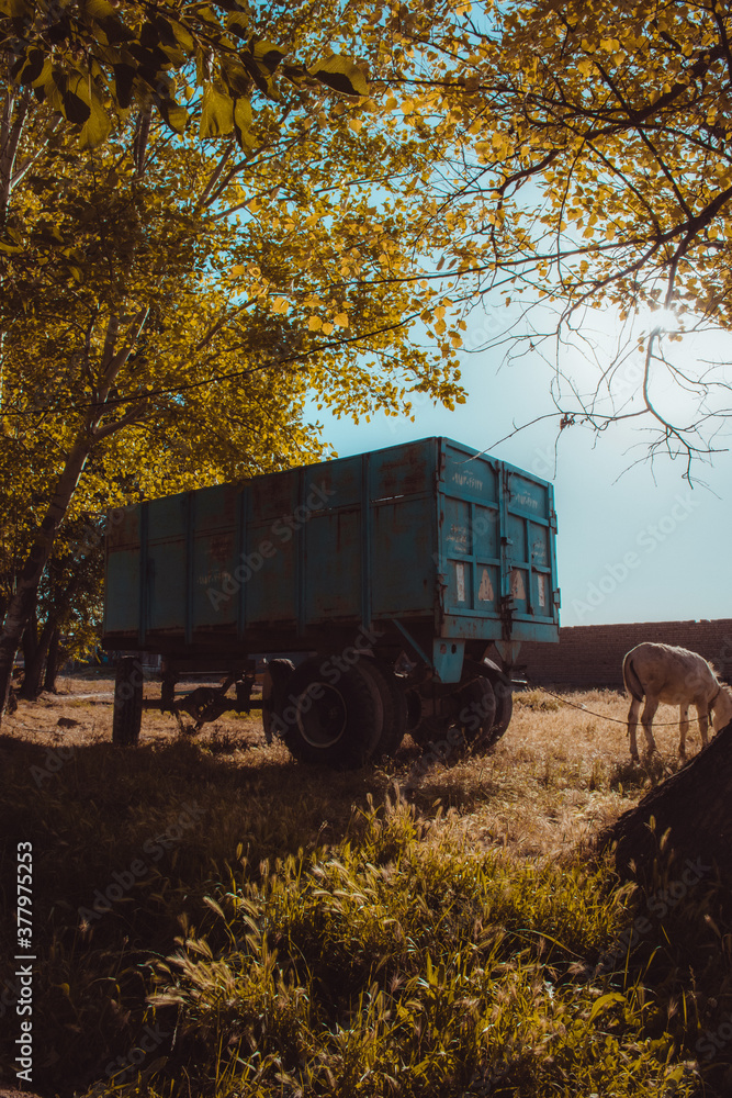 Obraz premium countryside