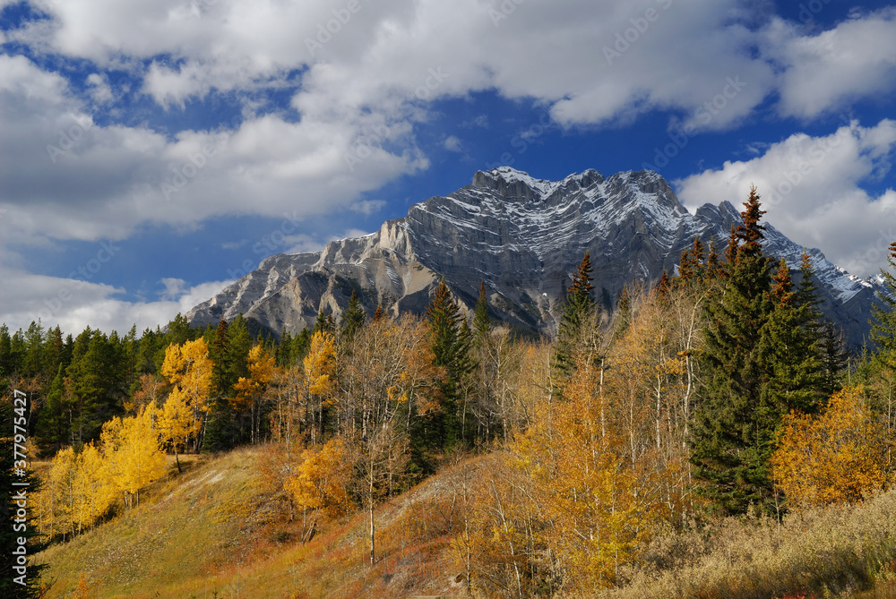 Cascade Mountain in the Fall from Johnson Lake Banff Cascade Mountain in the Fall from Johnson Lake Banff