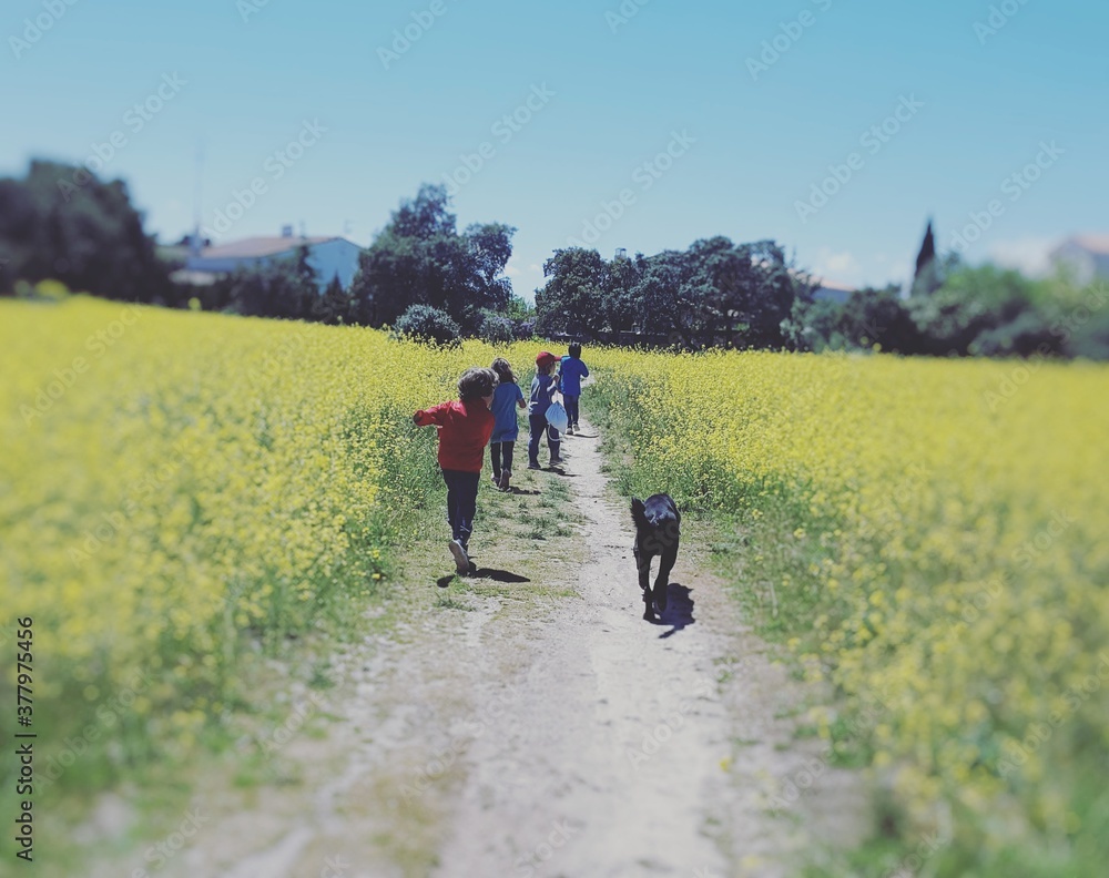 Obraz premium niños caminando por el campo