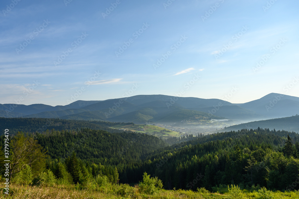 Fototapeta premium Carpathian mountains summer sunset landscape with sun and alpine pines