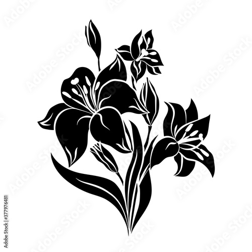 Fototapeta Naklejka Na Ścianę i Meble -  bouquet of lilies, silhouette, without a background, isolated. Vector illustration