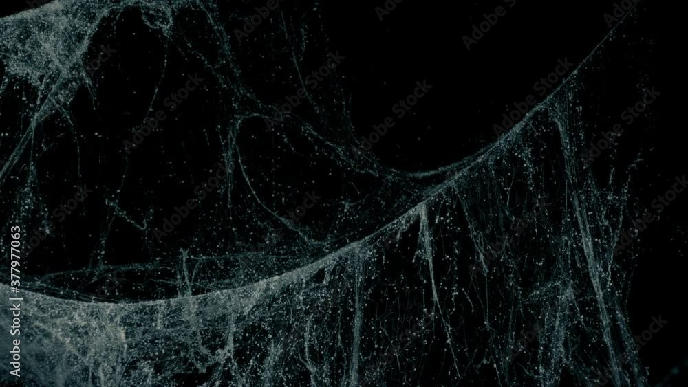 Spiderwebs In Dark Room Closeup