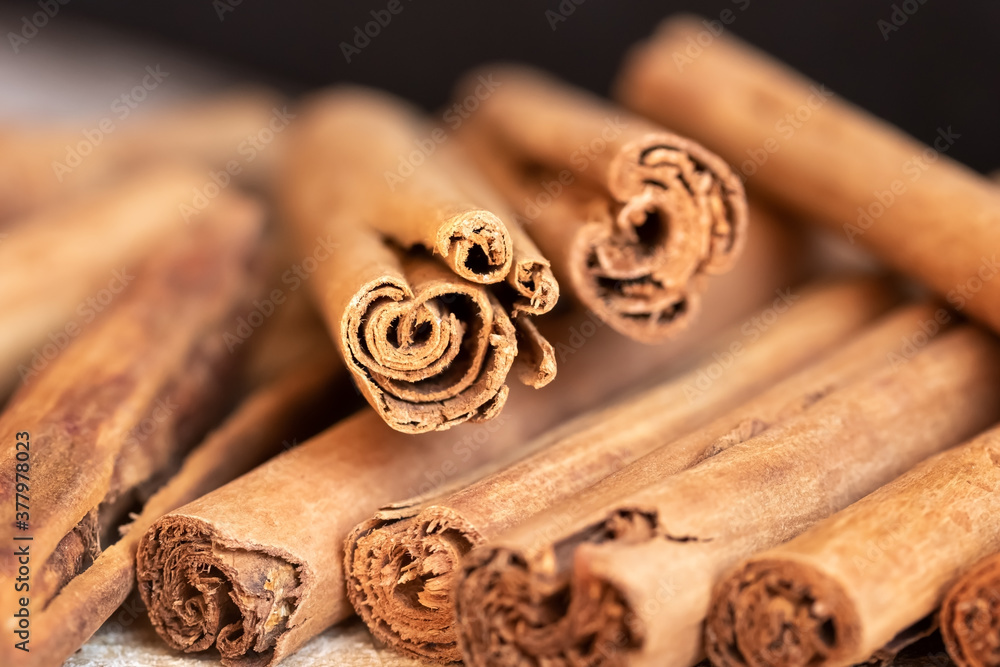 Close up of Ceylon cinnamon sticks - obrazy, fototapety, plakaty 