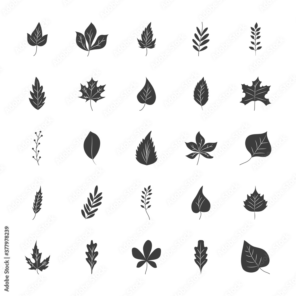 icon set of birch and autumn leaves, silhouette style icon set of birch and autumn leaves, silhouette style