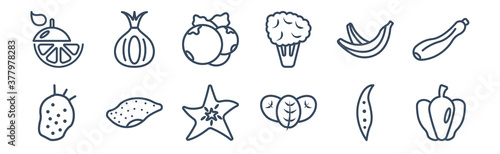 12 pack of icons. thin outline icons such as paprika, spinach, sweet potato, banana, berries, onion for web and mobile apps, logo