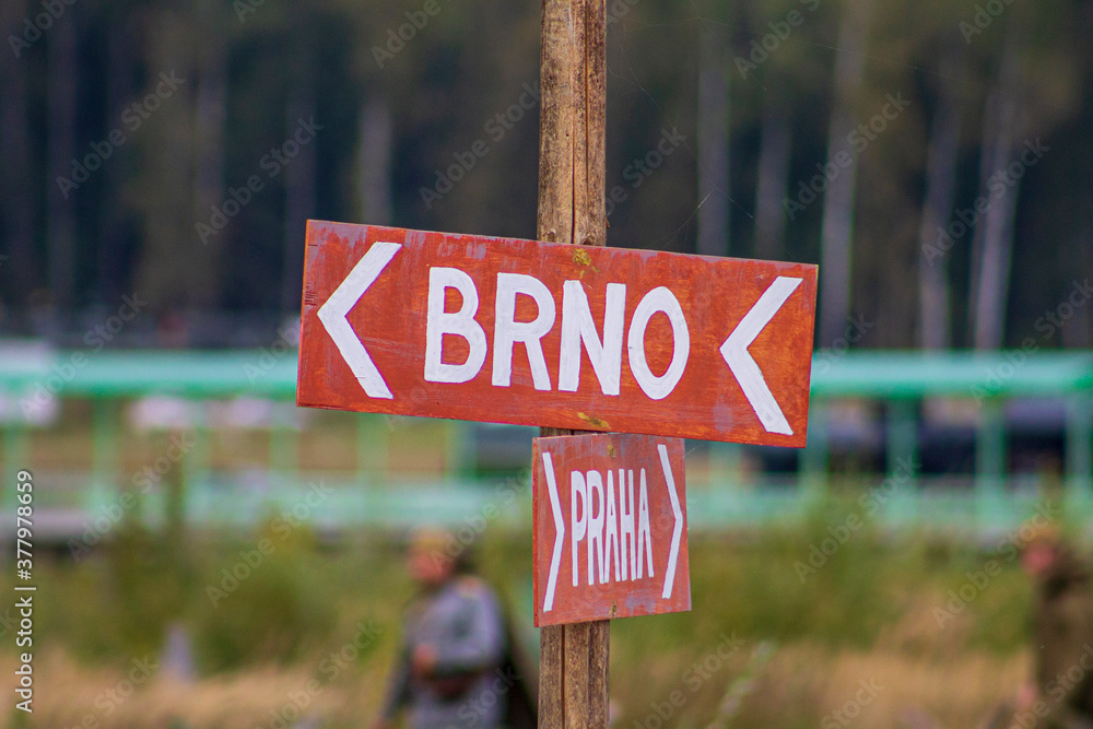 Fototapeta premium army sing