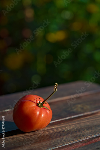 red shiny tomato lying on a wooden table in the garden