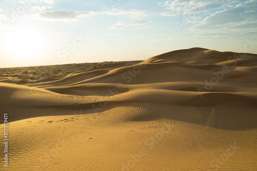 yellow sand on a dune with small vegetation and in the sun