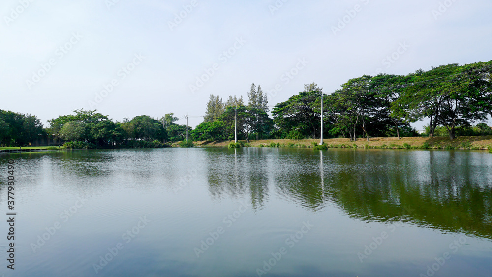 Landscape view of serene lakeside surrounded by trees in the park Landscape view of serene lakeside surrounded by trees in the park