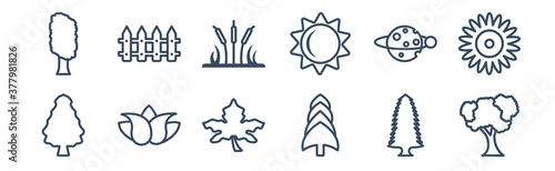 12 pack of icons. thin outline icons such as shadbush tree, white spruce tree, flower, planet with satellite, reed bed, fences for web and mobile apps, logo
