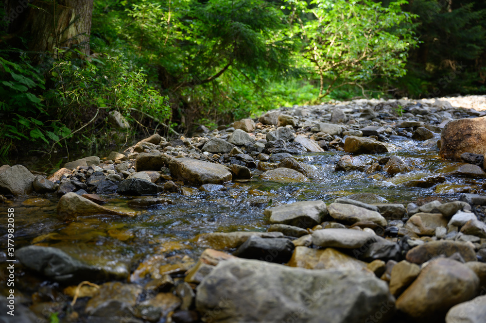 Mountain river water landscape. Wild river in mountains Mountain river water landscape. Wild river in mountains