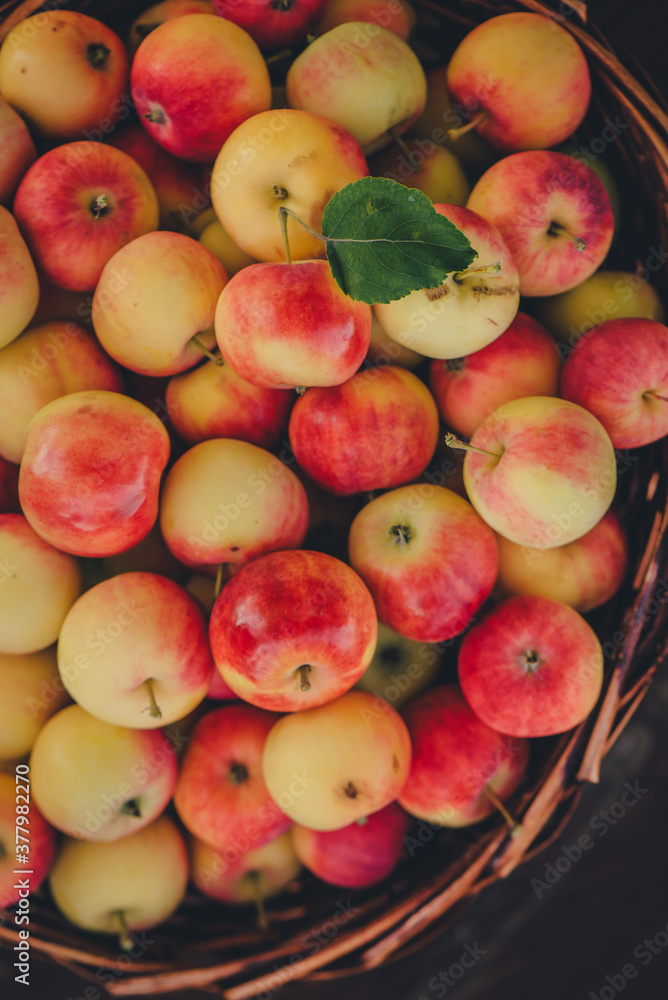 yellow and red apples in basket yellow and red apples in basket