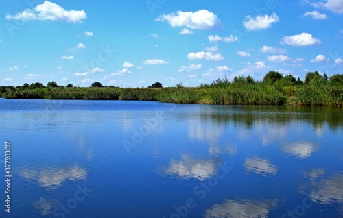 Wietlin  Stawy  Jezioro  Natura  Przyroda  Widok  Panorama  Staw