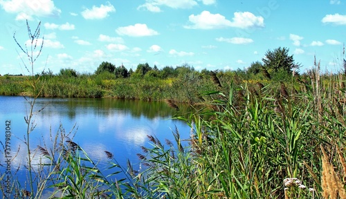 Wietlin, Stawy, Jezioro, Natura, Przyroda, Widok, Panorama, Staw