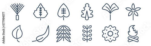 12 pack of icons. thin outline icons such as camping bonfire, american mountain ash, falcate, ginkgo, cordate, null for web and mobile apps, logo