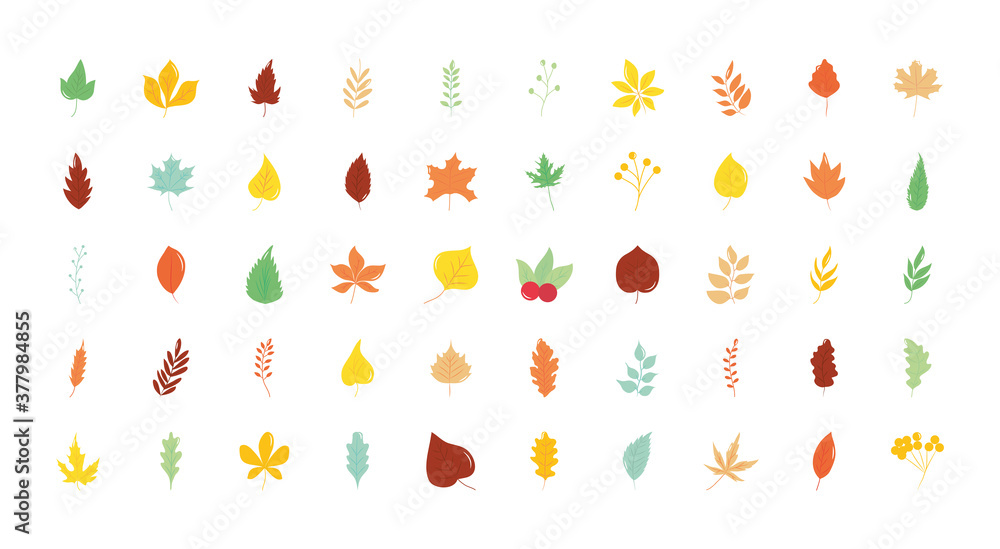 icon set of autumn leaves, flat style icon set of autumn leaves, flat style