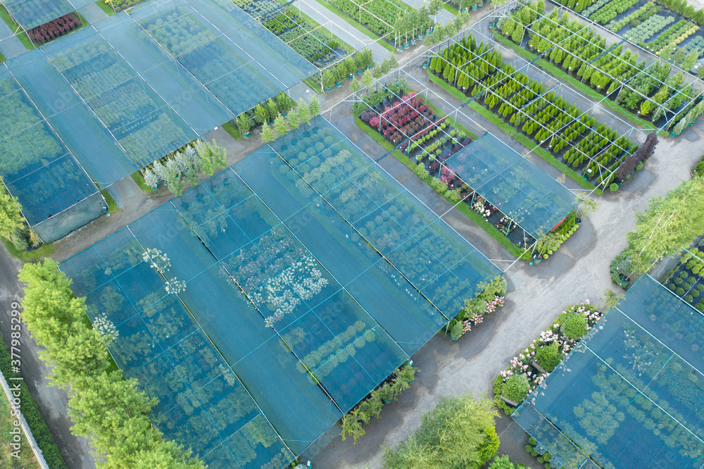 Fototapeta premium Shop or nursery of ornamental plants. Drone view
