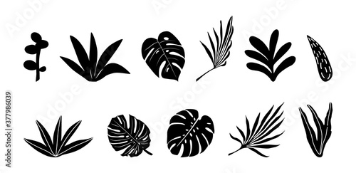 Tropical flowers  palm leaves  jungle leaves  hibiscus. Vector exotic floral illustration  Hawaiian bouquet for greeting card  wedding  Wallpaper. Set of abstract tropical leaves. Monstera  palm