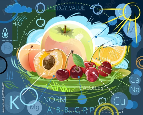 The benefits of vegetables, berries and fruits. Vector illustration. Chemical composition, vitamins, trace elements, energy value and calorie content. Content of substances. Natural healthy food. 