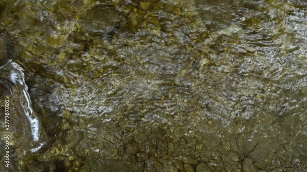 The surface of water flowing and waves in a small stream in the forest. B-roll footage and background The surface of water flowing and waves in a small stream in the forest. B-roll footage and background