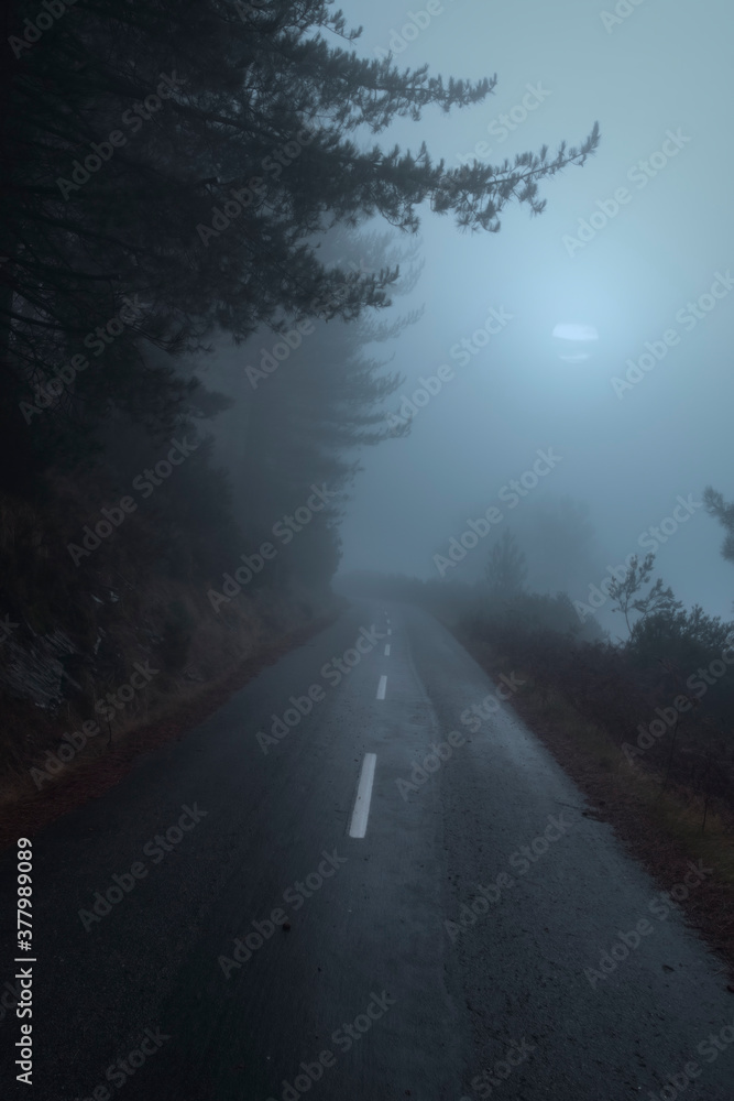 Fototapeta premium Mountain road in a foggy night