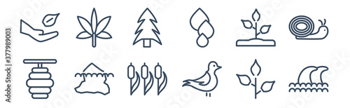 12 pack of icons. thin outline icons such as waves, bird, iceberg, grow plant, pine tree, hemp for web and mobile apps, logo