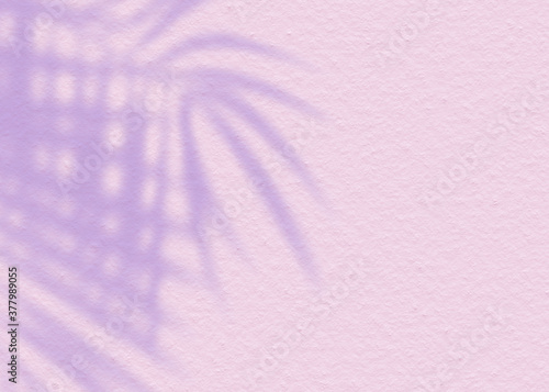 Pink soft cement texture wall leaf plant shadow background. Summer tropical travel beach with minimal concept. Flat lay pastel color palm nature.