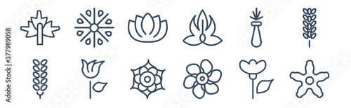 12 pack of icons. thin outline icons such as hypericum, jasmine, knapweed, lemongrass, lotus flower, magnolia for web and mobile apps, logo