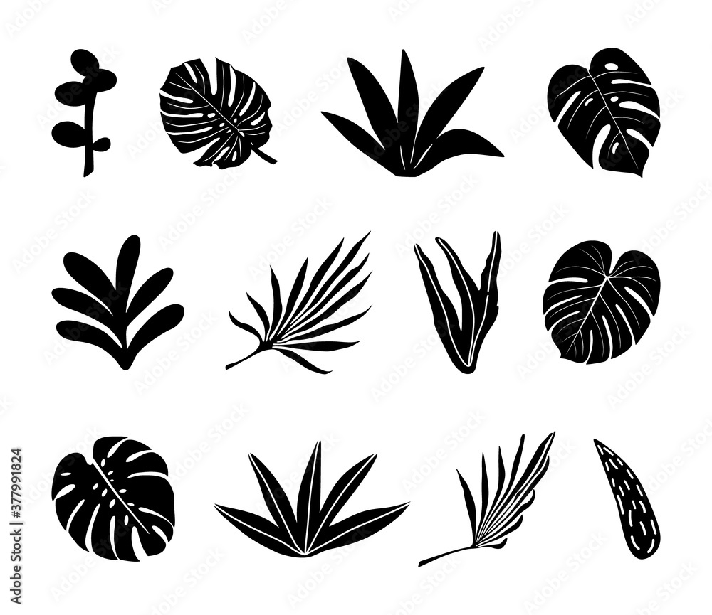 Tropical flowers, palm leaves, jungle leaves, hibiscus. Vector exotic floral illustration, Hawaiian bouquet for greeting card, wedding, Wallpaper. Set of abstract tropical leaves. Monstera, palm