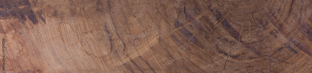 Close up of dark solid wood. Available in various formats Close up of dark solid wood. Available in various formats