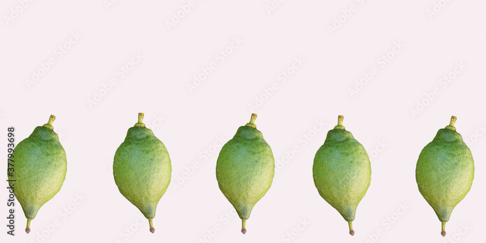 Close up of lemons isolated on neutral background. Vitamin concept Close up of lemons isolated on neutral background. Vitamin concept