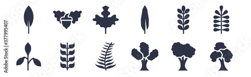 12 pack of black filled icons. glyph icons such as pin cherry tree, eastern cottonwood tree, bilberry leaf, briar leaf, willow leaf, gooseberry nut for web and mobile apps, logo