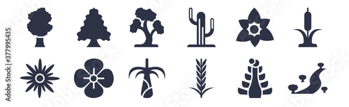 12 pack of black filled icons. glyph icons such as landscape, lavender, poppy, daffadil, pitch pine tree, pine tree, eastern cedar tree for web and mobile apps, logo © Premium Art