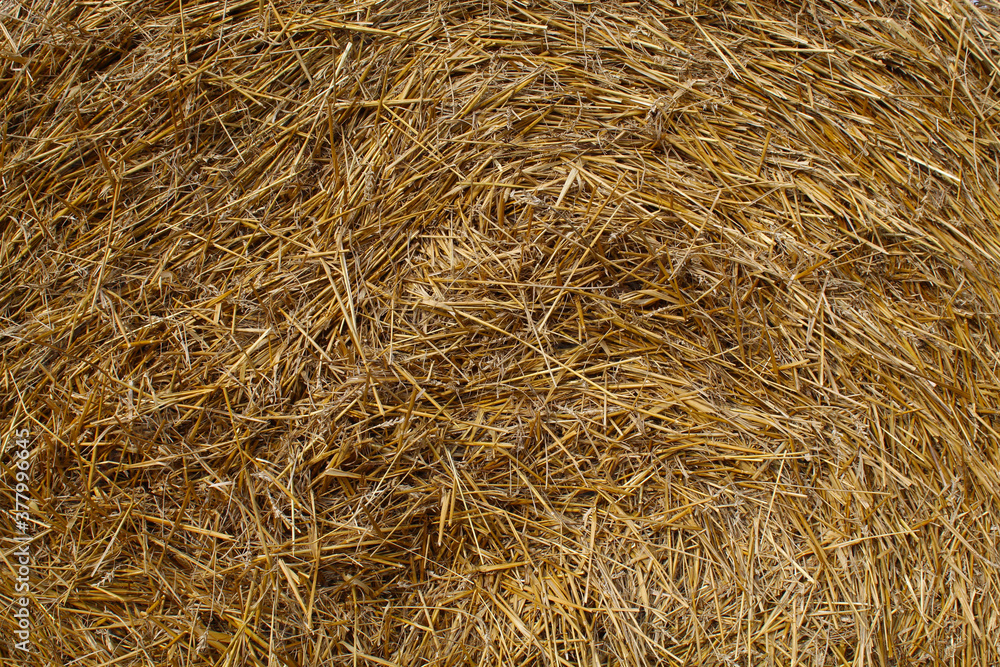 bale of hay (straw), background image, pattern, can be used as a screen saver bale of hay (straw), background image, pattern, can be used as a screen saver