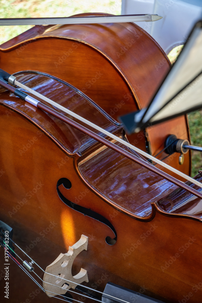 Obraz premium two cellos