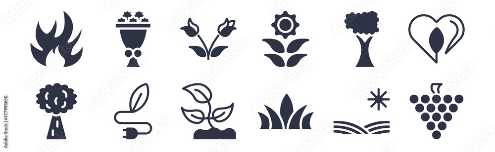 12 pack of black filled icons. glyph icons such as grapevine, agave, eco energy source, tree with big foliage, flower of leaves, two roses, flower bouquet for web and mobile apps, logo 12 pack of black filled icons. glyph icons such as grapevine, agave, eco energy source, tree with big foliage, flower of leaves, two roses, flower bouquet for web and mobile apps, logo