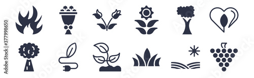 12 pack of black filled icons. glyph icons such as grapevine, agave, eco energy source, tree with big foliage, flower of leaves, two roses, flower bouquet for web and mobile apps, logo