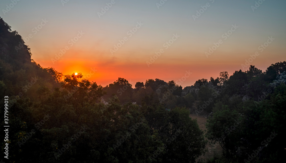 Orange sunset with rough shadows from the top of the trees.