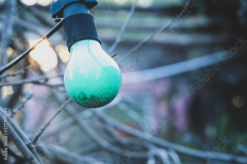 Colorful green light bulbs strung up in overgrown outdoor area of abandoned home