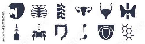 12 pack of black filled icons. glyph icons such as three hexagons cell, esophagus, pelvis, bladder, null, null, sternum for web and mobile apps, logo