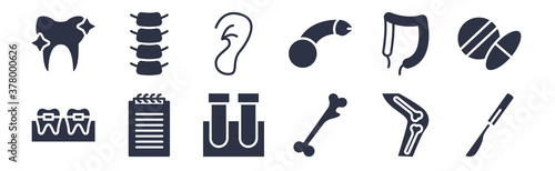 12 pack of black filled icons. glyph icons such as scalpel, femur, notepad, intestines, penis, ear, spinal column for web and mobile apps, logo