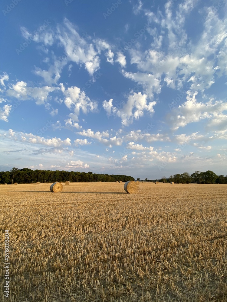 Bottes de foin dans un champ en Bourgogne	